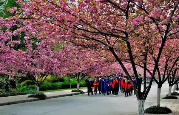 【錦繡安徽迎客天下】安徽是什么顏色的?