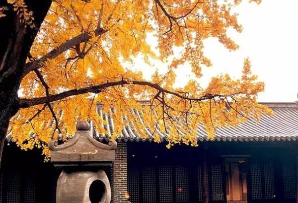 【錦繡安徽迎客天下】安徽是什么顏色的?