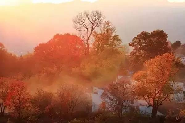 【錦繡安徽迎客天下】安徽是什么顏色的?