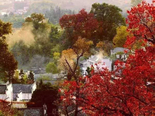 【錦繡安徽迎客天下】安徽是什么顏色的?