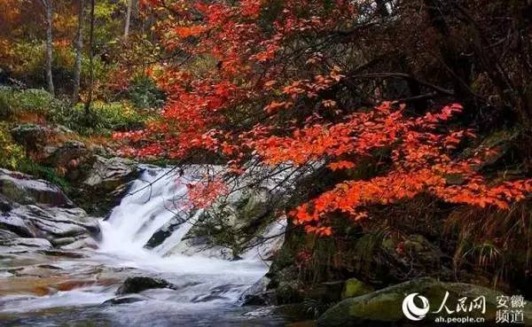 【錦繡安徽迎客天下】安徽是什么顏色的?