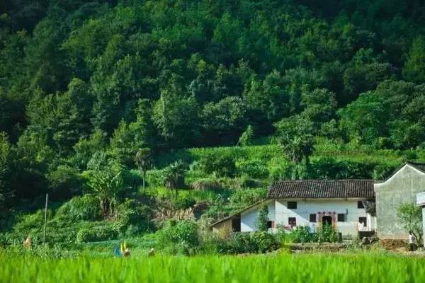 【錦繡安徽迎客天下】安徽是什么顏色的?