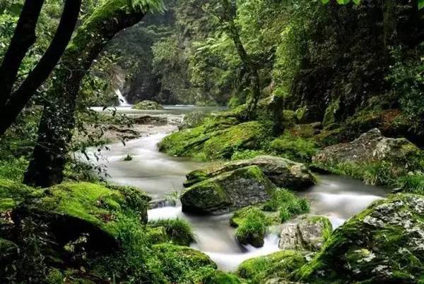 【錦繡安徽迎客天下】安徽是什么顏色的?