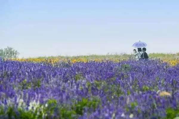 【錦繡安徽迎客天下】安徽是什么顏色的?