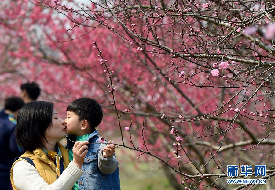 “十里桃花”醉春風