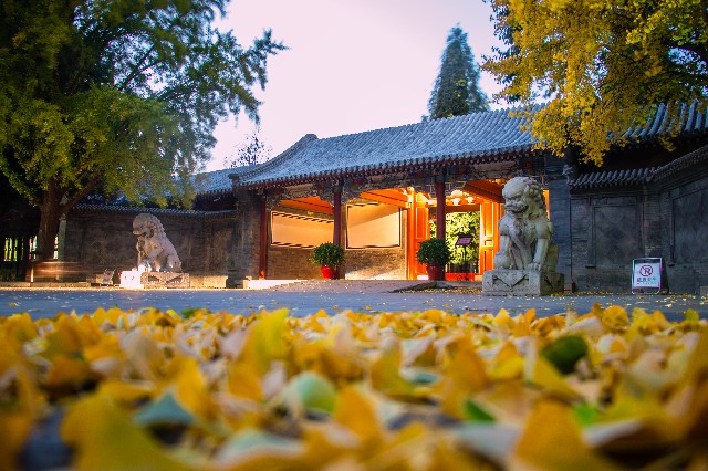 清華大學(xué):工字廳外的秋天,靜謐安好。 攝影/何康