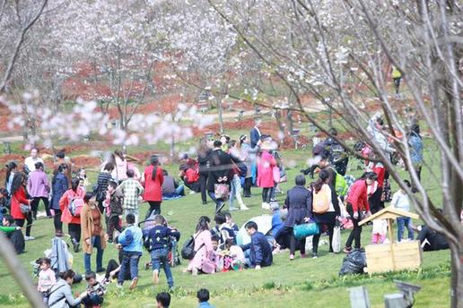 【萬人春游踏青鳳凰溝 千名漫迷扮靚景區}】