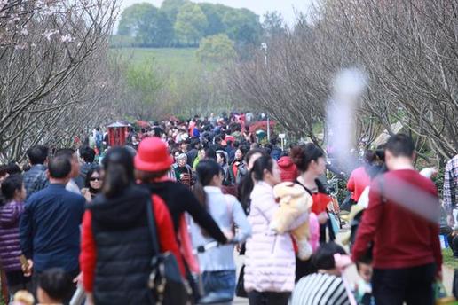 【萬人春游踏青鳳凰溝 千名漫迷扮靚景區}】