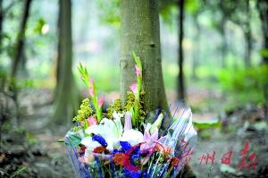 廣州民政部門:炒墓地是非法集資 只會(huì)血本無歸