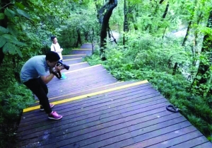 網(wǎng)友稱在紫金山木棧道上發(fā)現(xiàn)眼鏡蛇 圖片來(lái)自“南京阿槑”微博