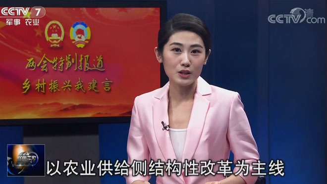 鄉(xiāng)村振興我建言