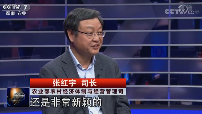 鄉(xiāng)村振興我建言