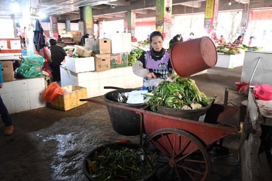 保潔員謝月金在廣西橫縣柳明菜市場(chǎng)將收集的垃圾分類投放到垃圾桶里(4月12日攝)。新華社記者 周華 攝